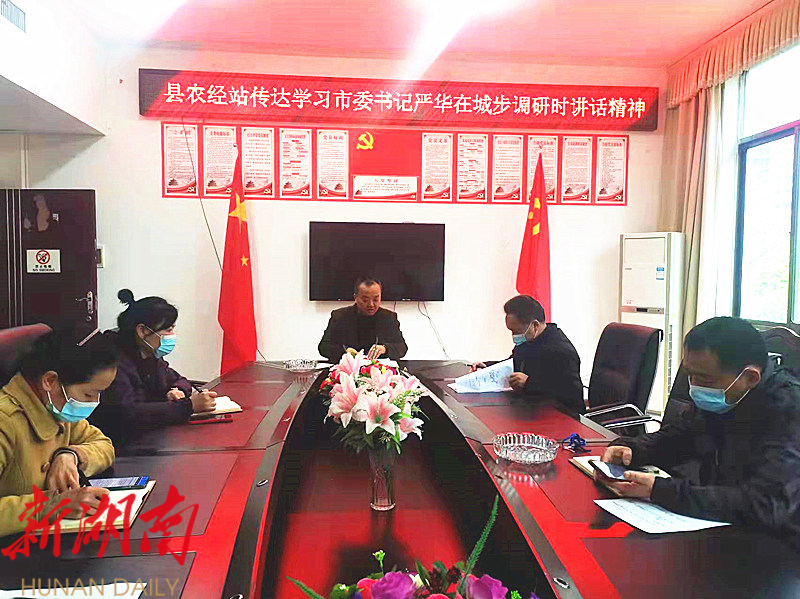县农经站传达贯彻市委书记严华在城步调研的讲话精神_邵阳头条网