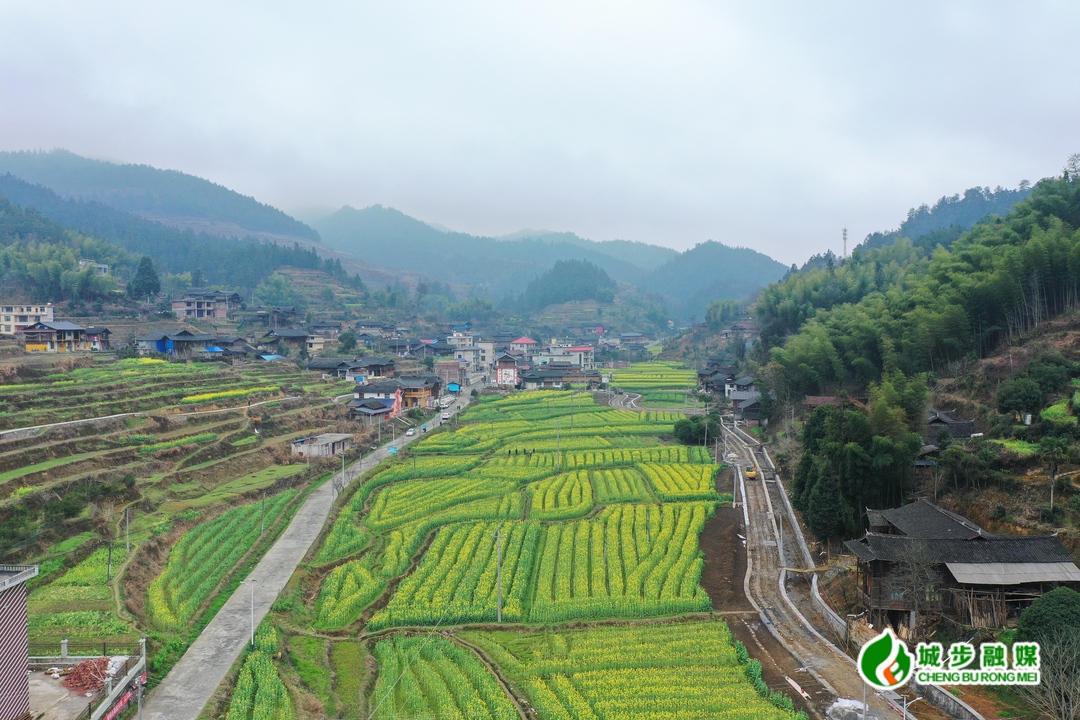 邵阳城步油菜花开田园美