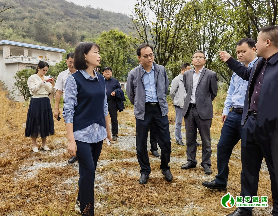 王慧敏調(diào)研邵陽旅發(fā)大會項目建設(shè)選址工作