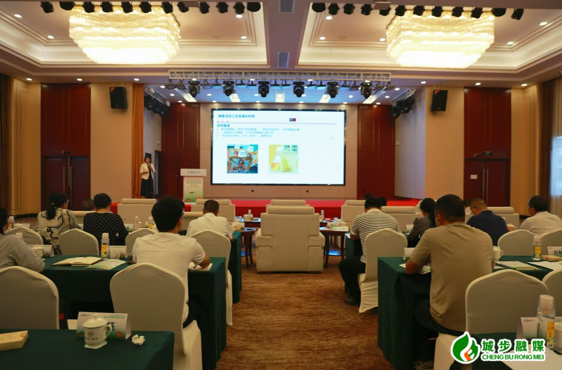 城步举办蜂业高质量发展交流会
