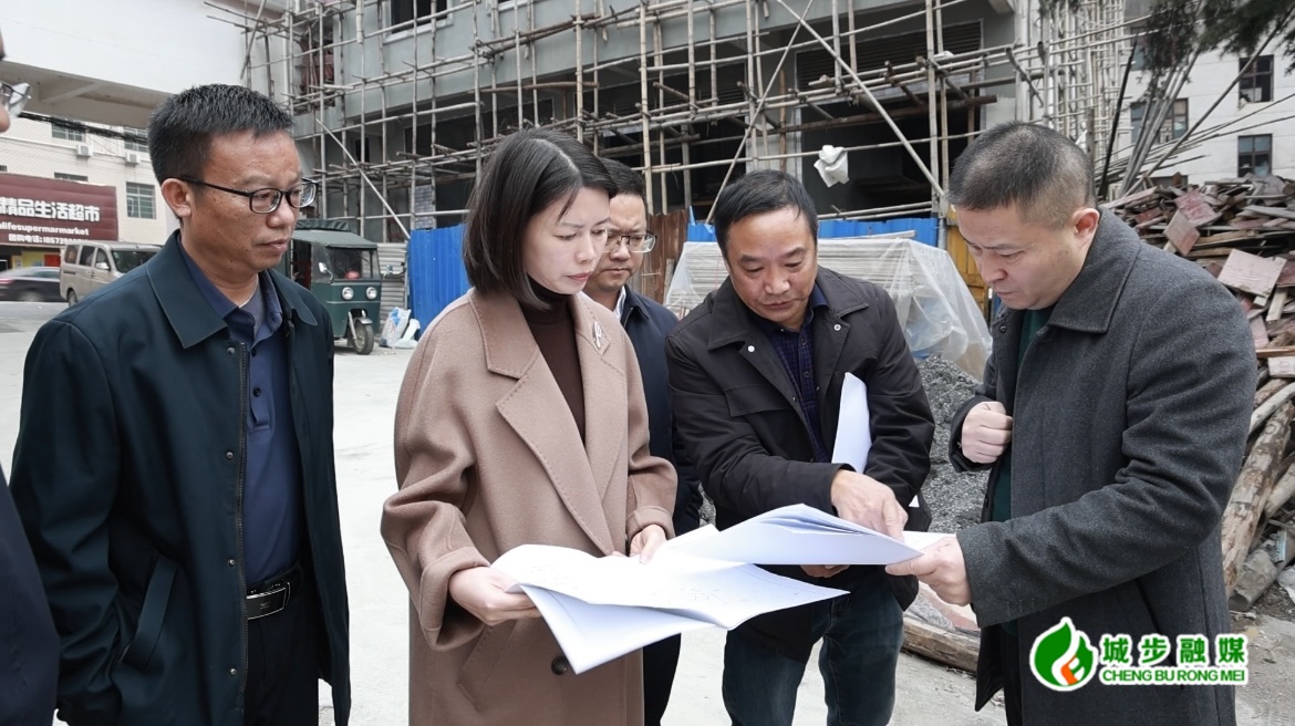 王慧敏到茅坪镇调研医共体项目建设等工作