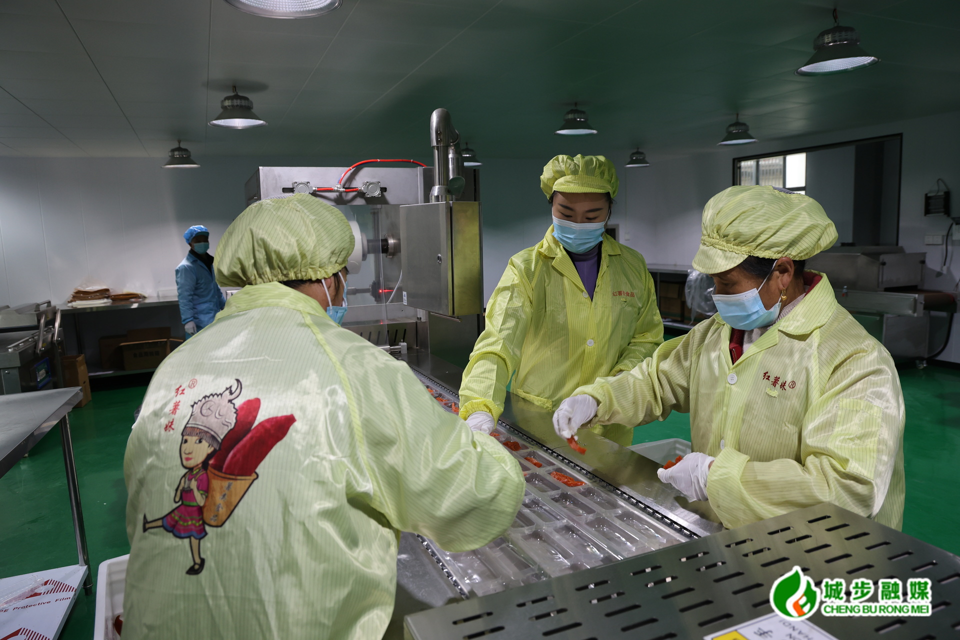 青年先锋刘星：一颗小红薯 十年乡土情