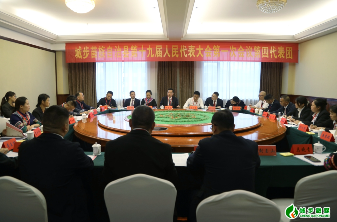 何德波、刘玮等县领导参加城步苗族自治县第十九届人民代表大会第一次会议代表团分组讨论