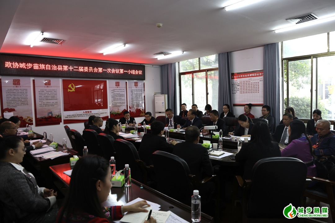 政协委员分组讨论政协城步苗族自治县第十二届委员会第一次会议相关工作报告