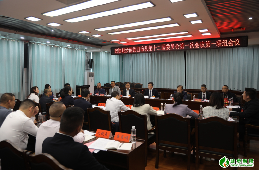何德波、刘玮等县领导参加政协城步苗族自治县第十二届委员会第一次会议联组讨论会议
